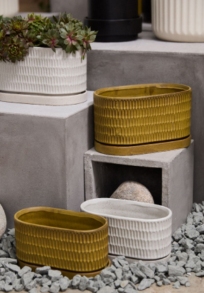 yellow and white oblong planters