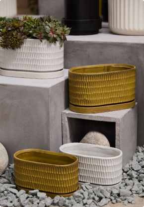 Terracotta hue Neda pots with plant by pool
