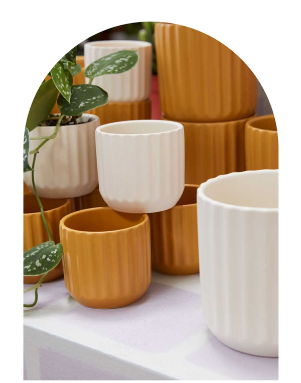 gridline pots and saucers with plants