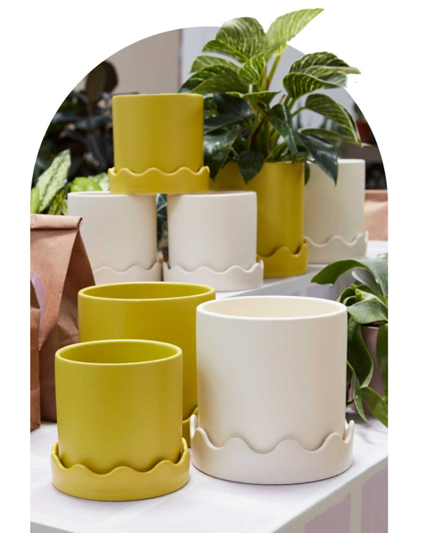 YELLOW AND WHITE DROP IN POTS