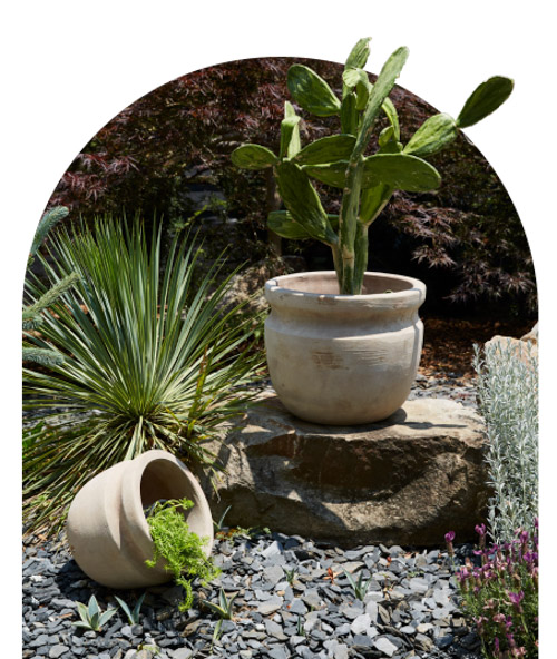 gridline pot with plant