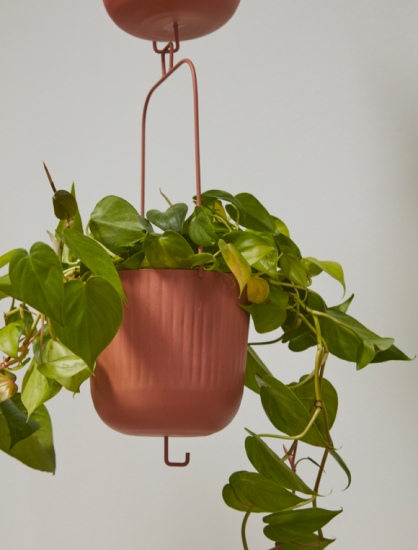 small metallic hanging planter with ivy 