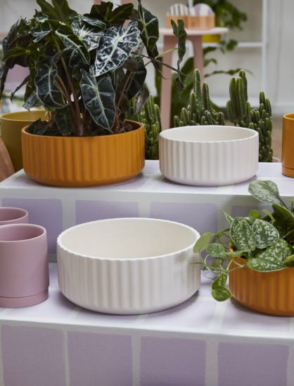 white and orange ribbed plant bowls