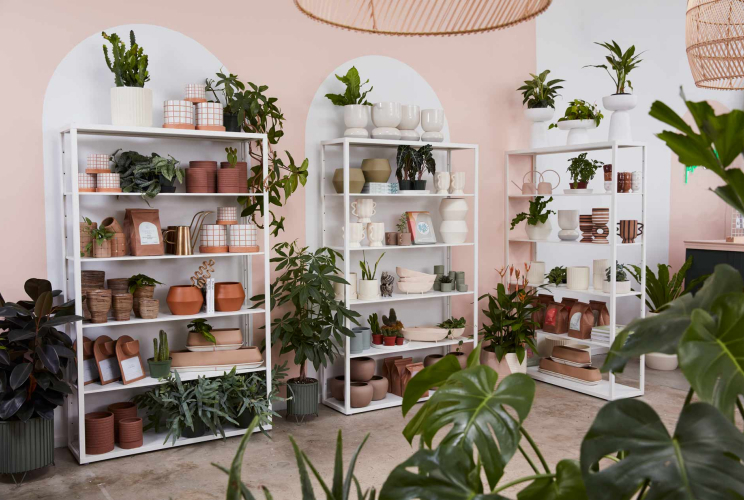 Plant shop with pots and plant accessories on shelves